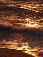 golden surf at sunset close up