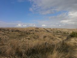 Landscape of Beach sand Dunes