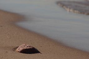 Sand Stone on the sea beach