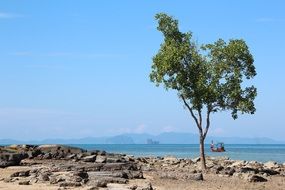 landscape of the big stones on beach