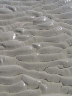 North Sea Wadden