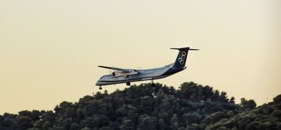 plane flies over trees