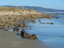 wonderful Shore botero Beach