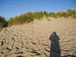 Summer Dunes Shadow