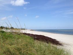 sandy beach on the ocean coast on a sunny day