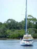 Boat River Summer