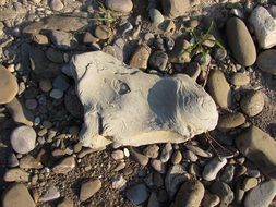 white stone on pebbles on a beach