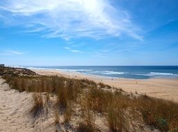 perfect Beach Dunes