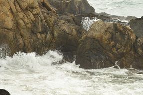 foamy waves splashing on Rock at Coast