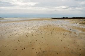 Beach Sand Eb
