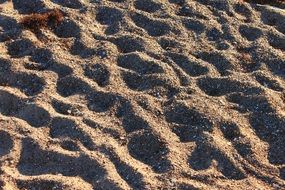 large sand beach