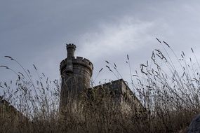 Tower of the castle in the Baiona