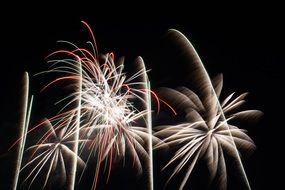 colorful festive fireworks in the black sky