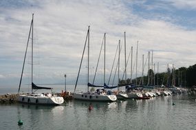 Sailboats in the Port