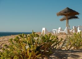 Seaside beach with the parasol