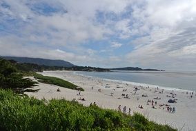 panoramic view of the sandy beach with plants on the pacific ocean in carmel