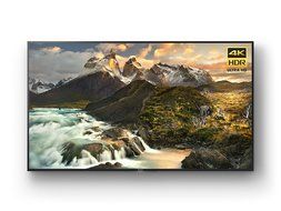 Sony XBR75Z9D 75-Inch 4K Ultra HD Smart LED TV (2016 Model) N4