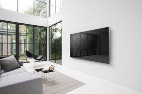 Sony XBR75Z9D 75-Inch 4K Ultra HD Smart LED TV (2016 Model) N5