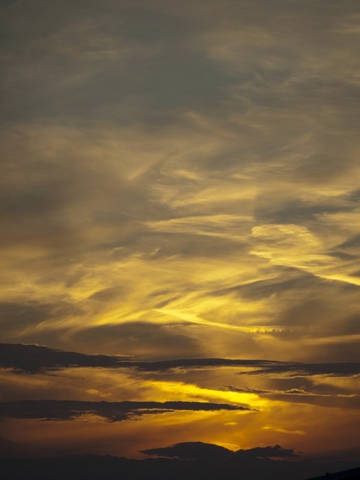 gray clouds and the golden glow of the sun