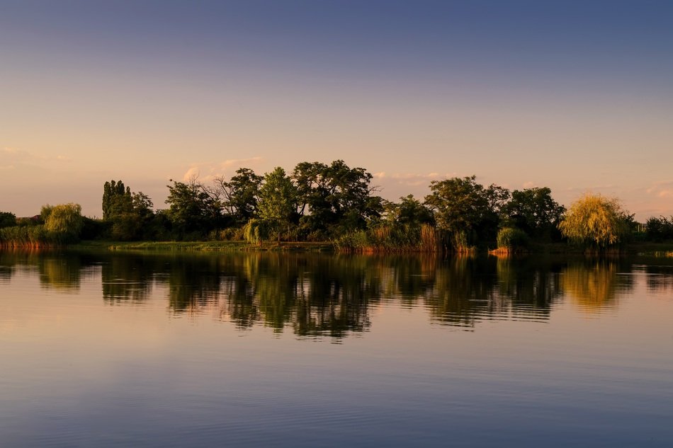 Reflection of forest on Pond at summer evening