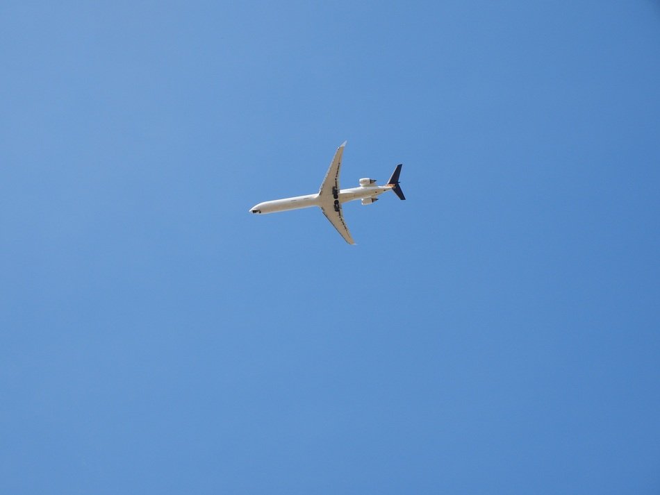 plane in the sky on a sunny day