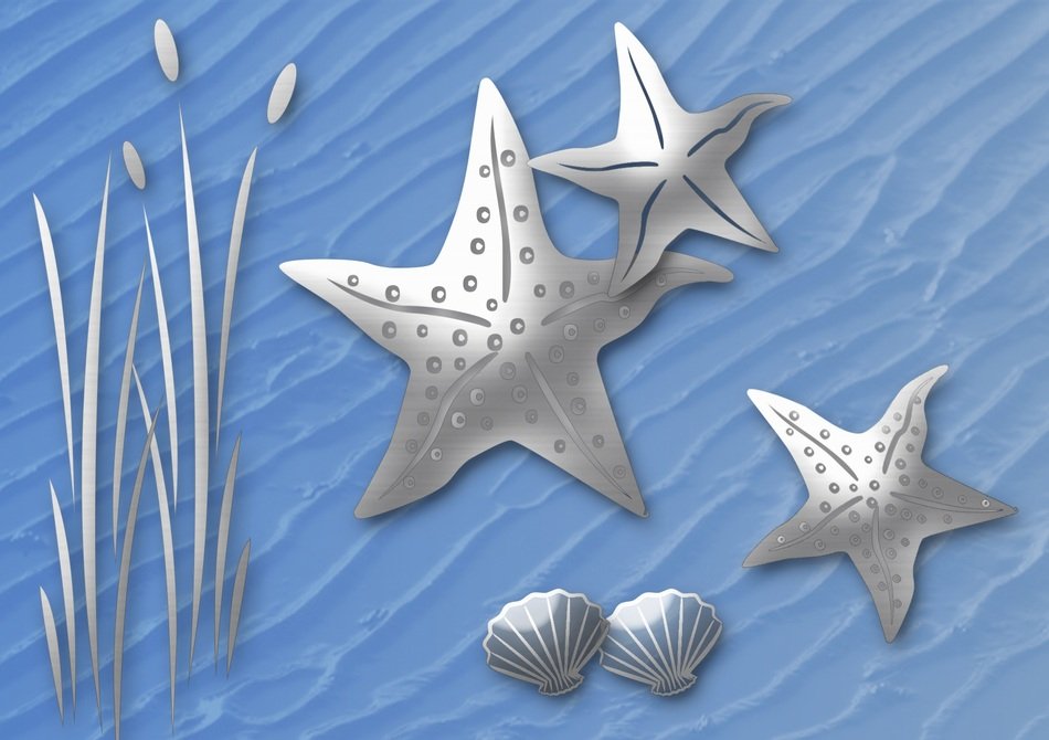 starfish as a graphic image