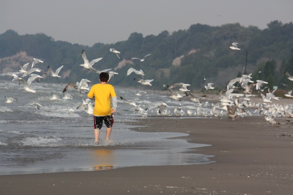 man runs along the beach with seagulls