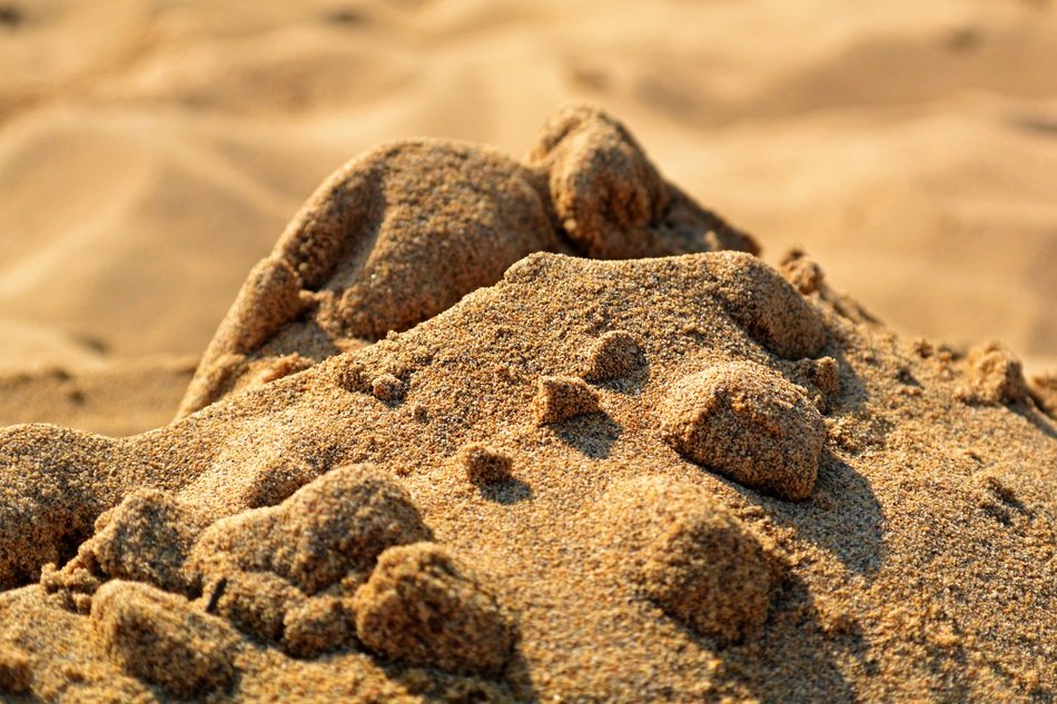 Close-up Picture of Sand hill