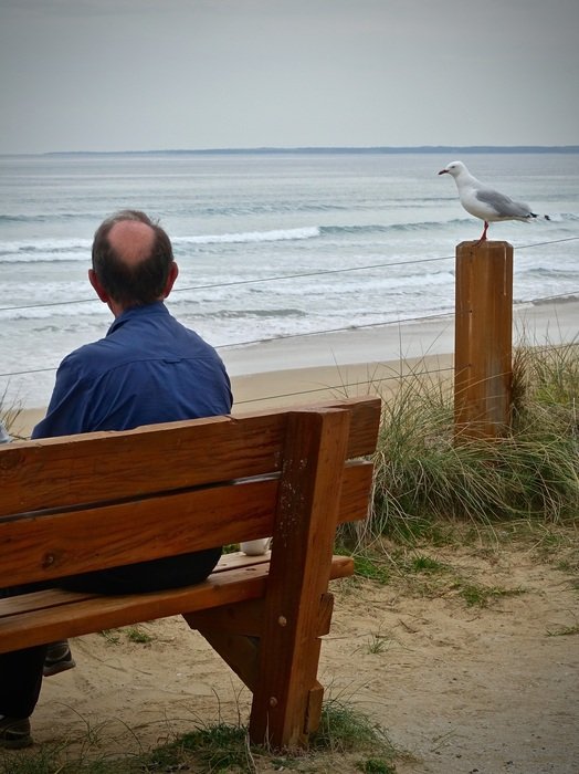 Picture of Lonely and Seagull on a beach