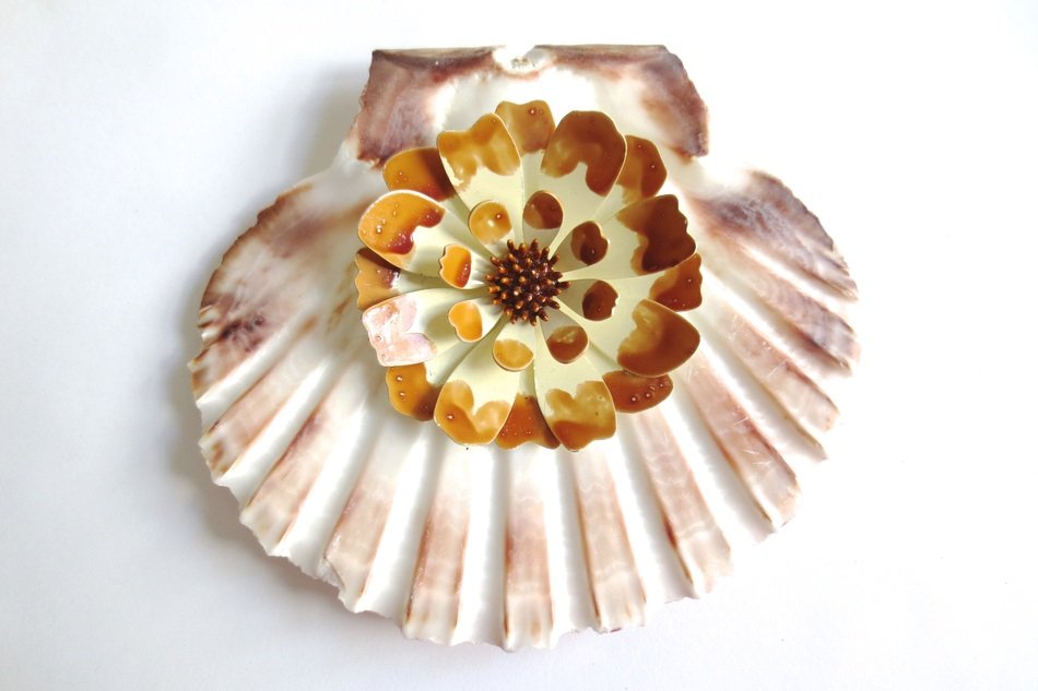 flower on the shell