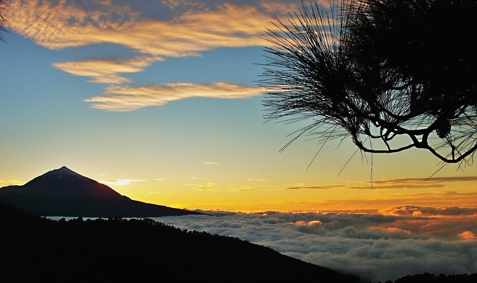 landscape of nice-looking Evening Sunset