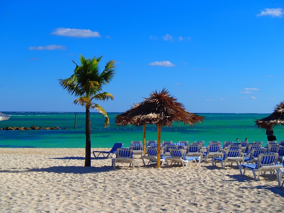 palm tree beach with beach chairs