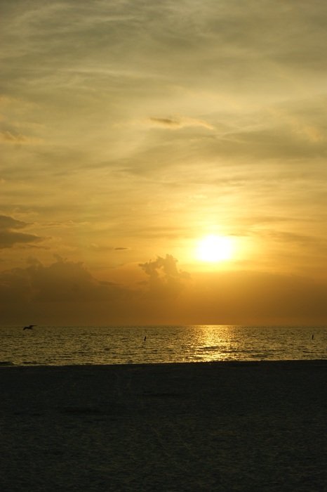 splendid gold Sunset over the coast