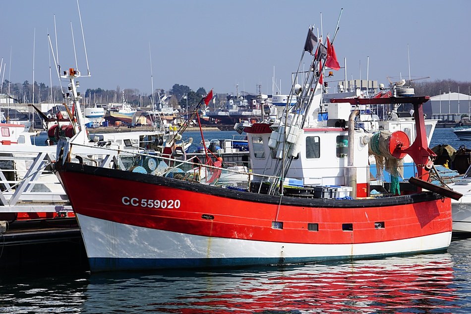 red Boat Fishing