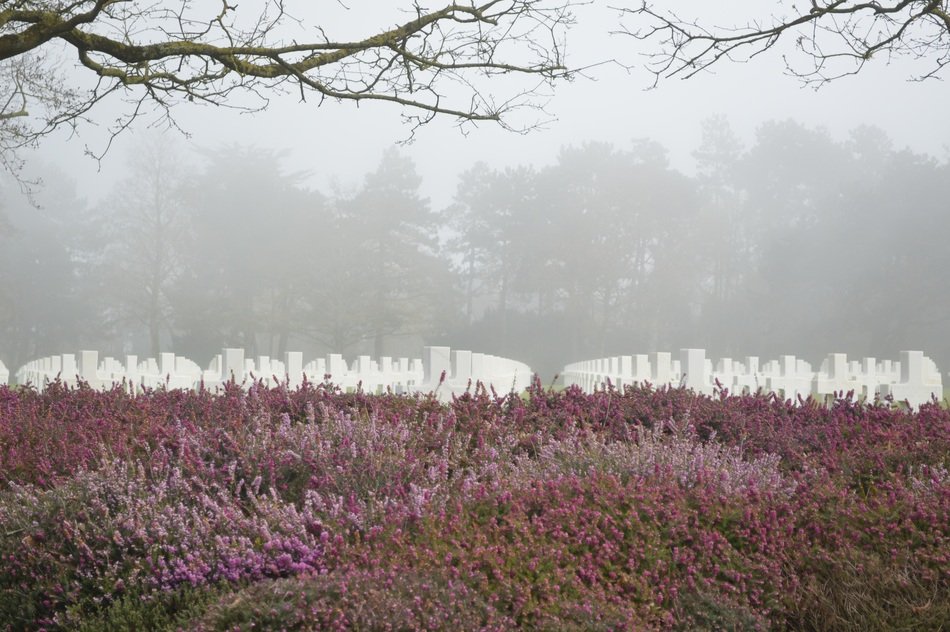landscape of Cemetery in Fog