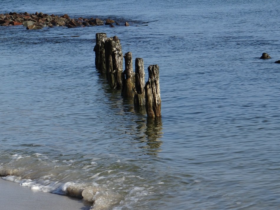 coastal protection on the north sea