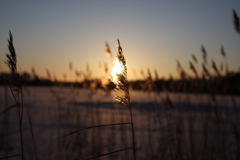 frozen lake in the blurred background