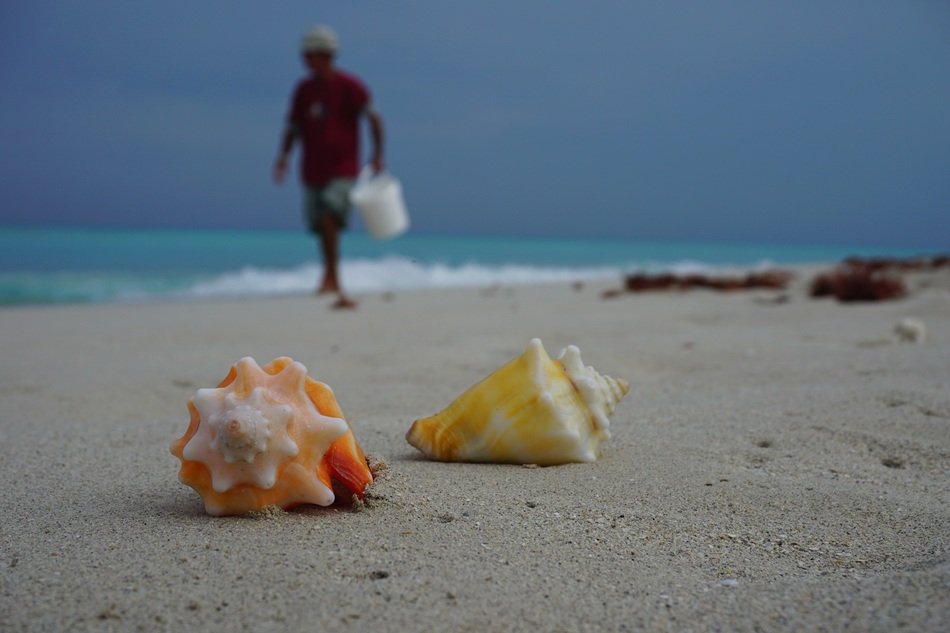 wonderful Caribbean Beach