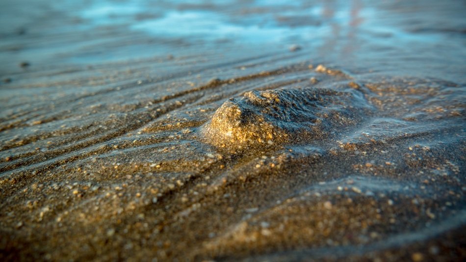 Picture of Grains Of Sand and water