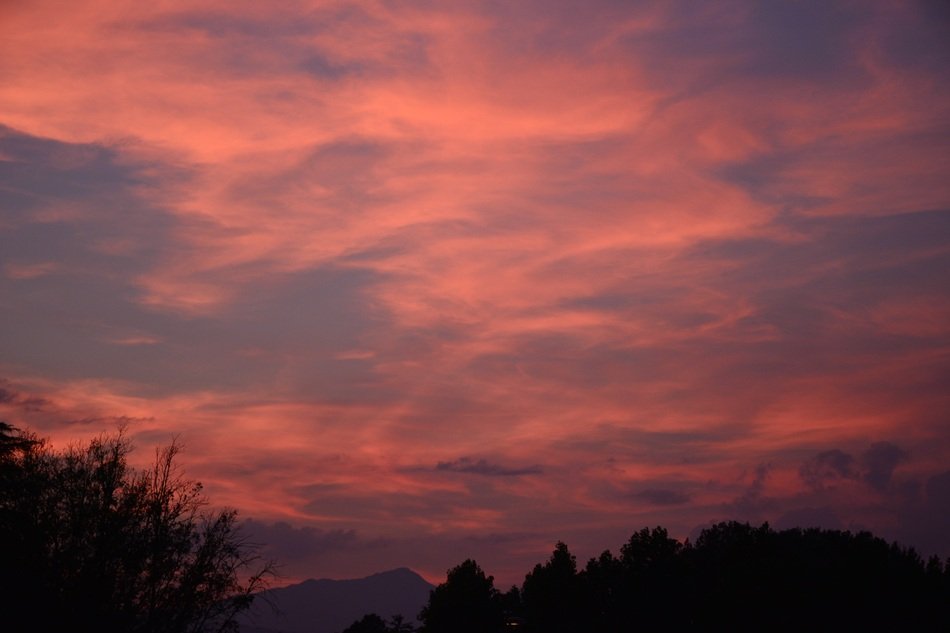 sunset over silhouettes in Lucca, Tuscany