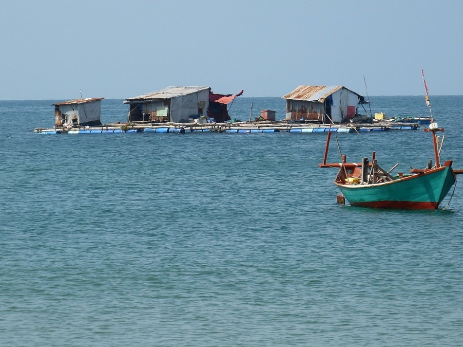 Fischer Sea