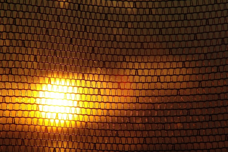 orange sunset in the mesh