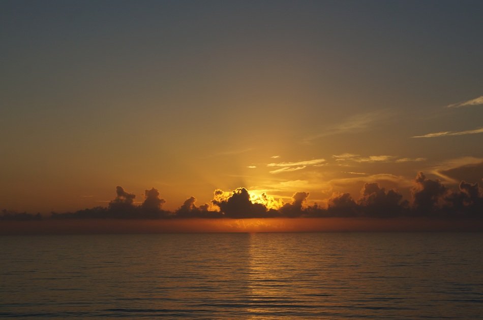 bronze sunset on the sea coast