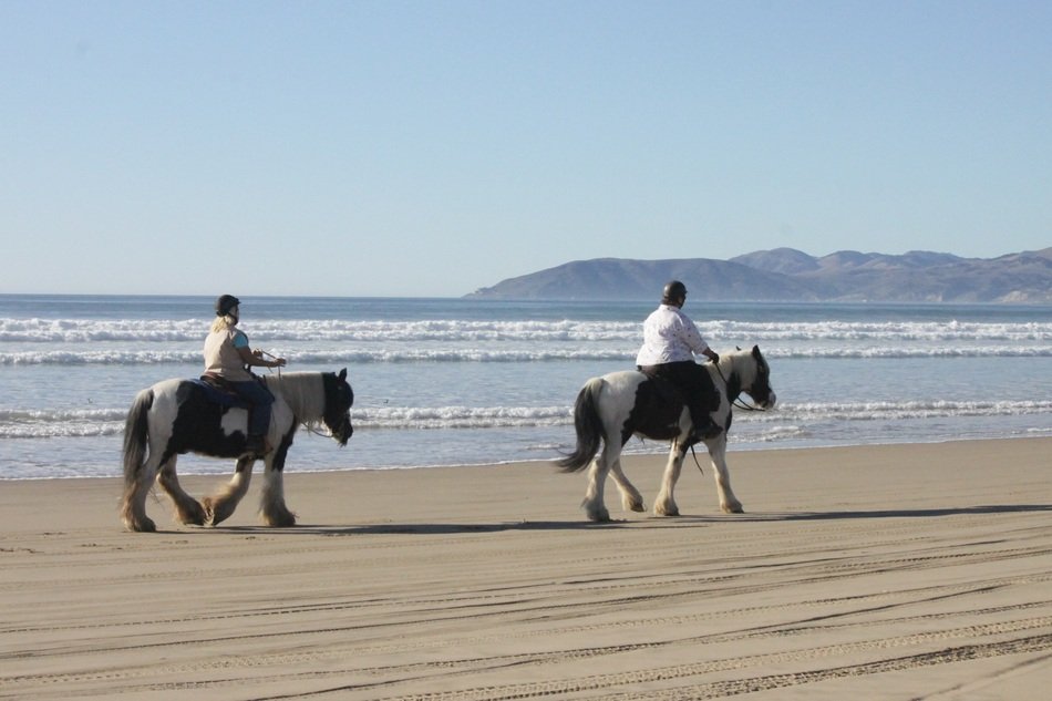 Picture of the horse riders on a beach
