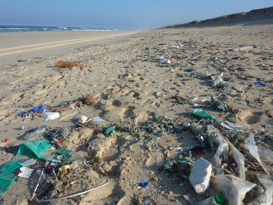 trash on the sandy coast close up