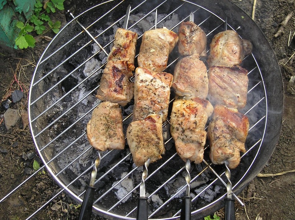 shish kebab on the grill for relaxation