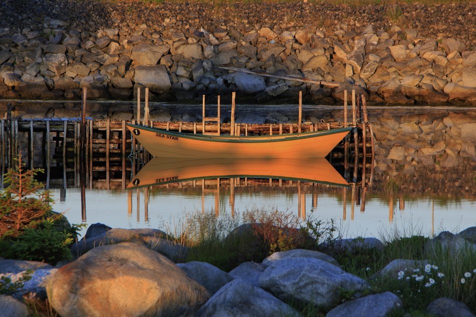 Picture of Dory on a water