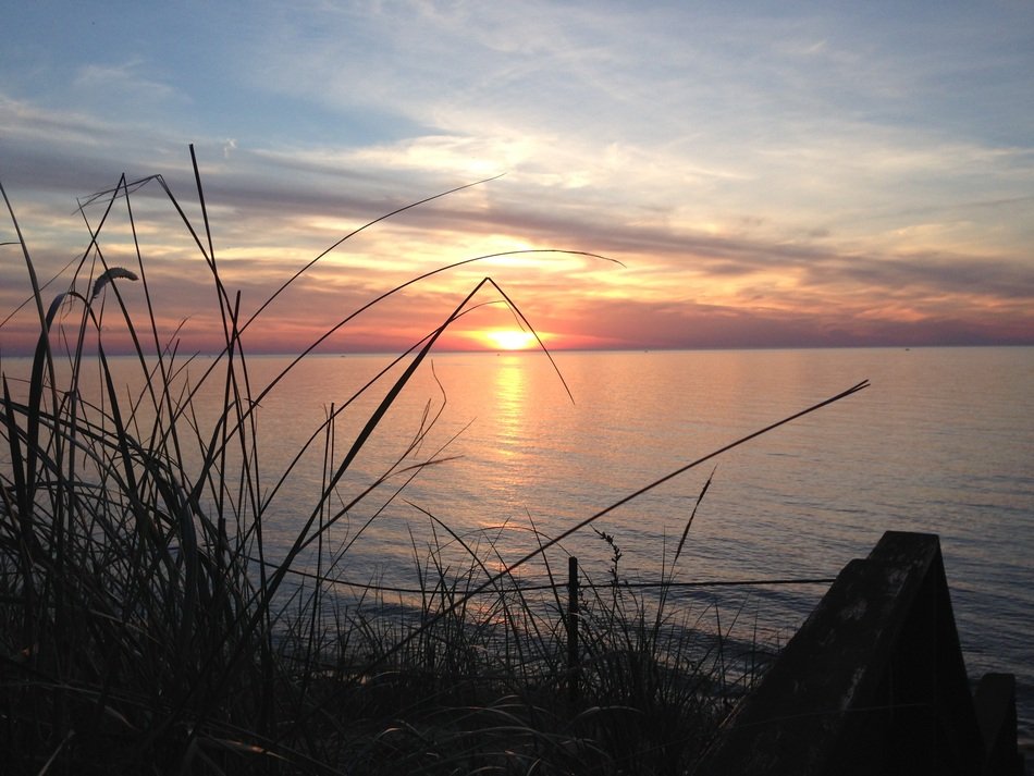 photo of grass on the shore of Lake Michegan at sunset