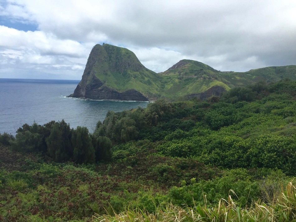 Landscape of the greenery on Maui island