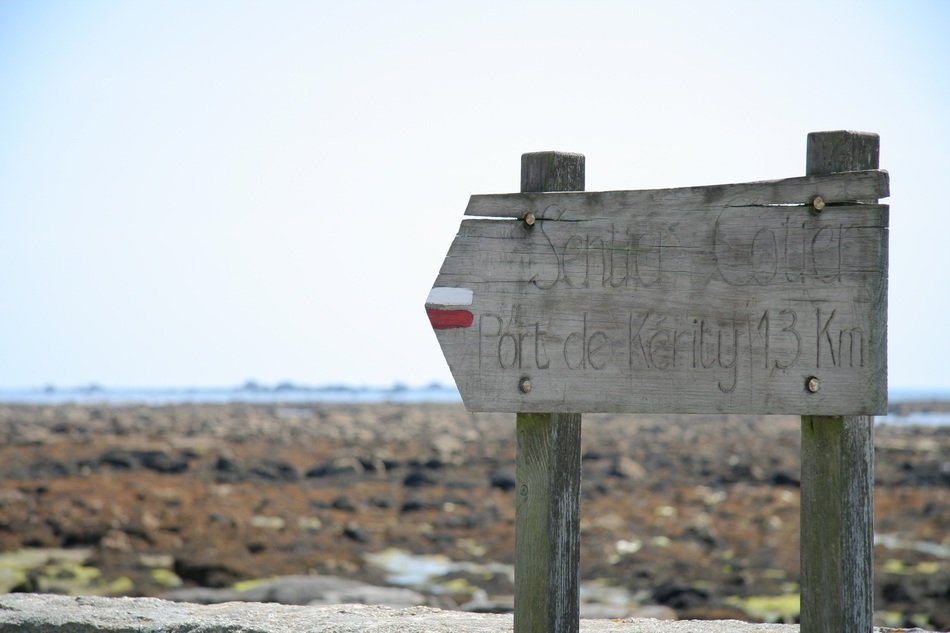 wood Sign on sea rocks